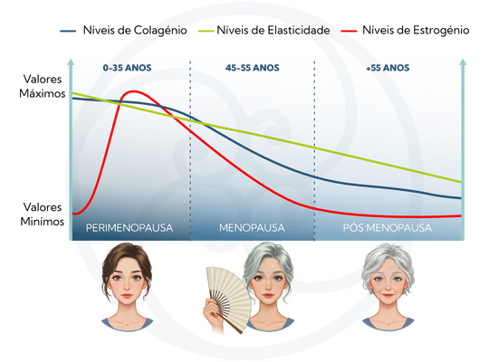 Gráfico sobre as alterações da pele na menopausa, representando a evolução dos níveis de estrogénio, colagénio e elasticidade durante a perimenopausa, menopausa e pós-menopausa.